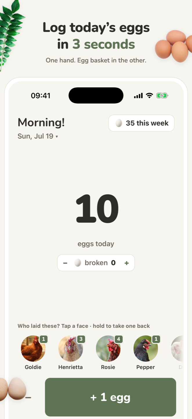 Today screen: log today's eggs in three seconds with one big button